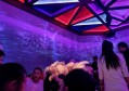 人才储备招聘文案（精英团队构建 - 招聘与人才发展方案）