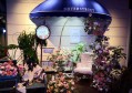 拓展部招聘文案（招募精英，共创未来：拓展部人才招募启事）