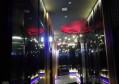 大象招聘文案范文（创意大象企业招聘文案示例）