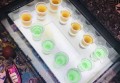 招聘服装招聘文案范文（服装行业招聘启事文案示例）