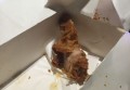 新春招工招聘文案（新春启航：精英招募与职业发展新机遇）