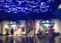 多媒体设计招聘文案范文（创意多媒体设计师岗位招募启事范文）