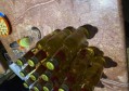 新航招聘宣传文案（探索无限可能：新航招聘创意邀请）